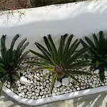 White Luxury With Shared Pool Downtown Апартаменты